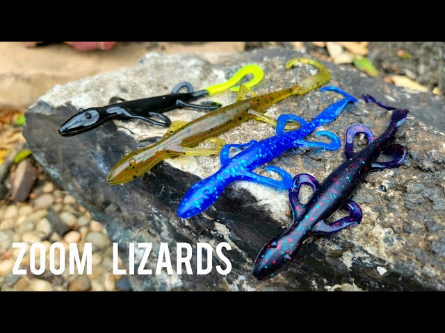 Catching Chunky Bass with Zoom Lizards!