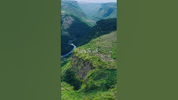 الآية التاسعة من سورة يونس بصوت ياسر الدوسري