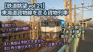 【鉄道眺望 vol.21】
東海道貨物線で早朝から鉄分補給