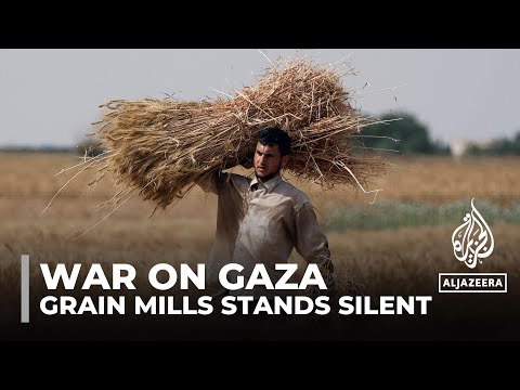 Gaza mill shuts down due to scarcity of grains and fuel, leaving citizens hungry and hopeless