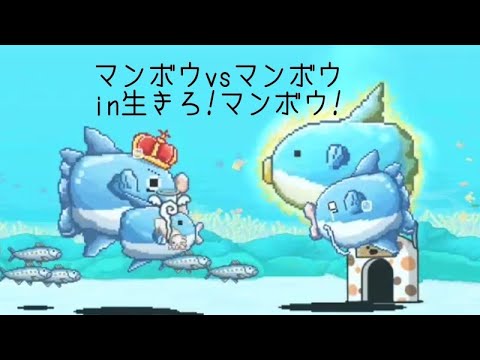 無課金にゃんこ大戦争part1244【マンボウコラボのキャラのみで生きろ!マンボウ!に挑戦】