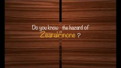Pigs|Do you know the hazard of Zearalenone to pigs and how to solve it?