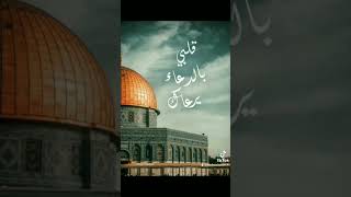 عيوننا إليك ترحل كل يوم - القدس - المسجد الأقصى