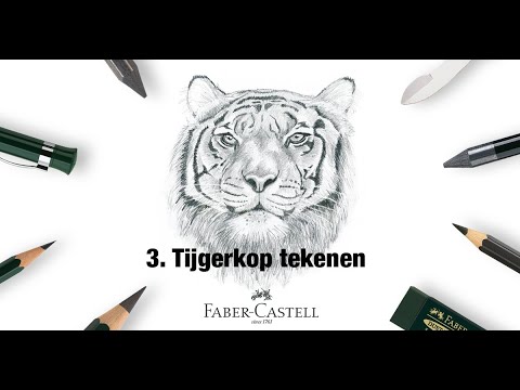 After Work Creativity - 03: Tijgerkop tekenen