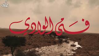 فتى الوادي ( احمد النمشان ) - كثرت غرابيلك