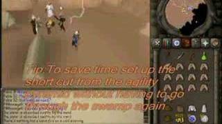 [RS]Dealing With Scabaras Runescape quest help by p00nmage6