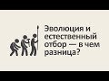 Эволюция и естественный отбор — в чем разница? [MinutePhysics]