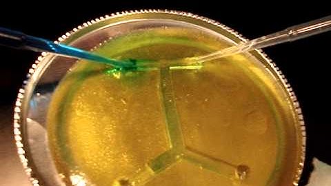Microfluidics Tutorial - Jello Chip Take 2