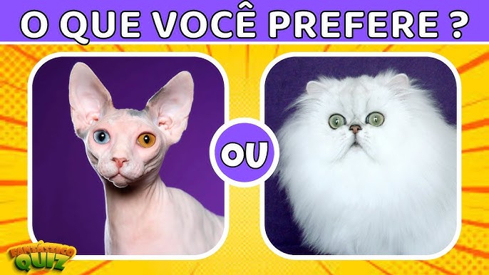 Ve prefere cão ou gata? SIM NÃO I - iFunny Brazil