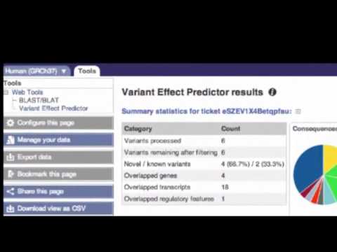 Analyse your  Sequence Variants  with the VEP (Web Interface)