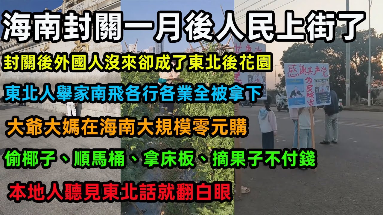 海南封關一月後人民上街了，封關後外國人沒來卻成了東北後花園，東北人舉家南飛各行各業全被拿下，大爺大媽在海南大規模零元購，偷椰子、順馬桶、拿床板、摘果子不付錢，本地人聽見東北話就翻白眼