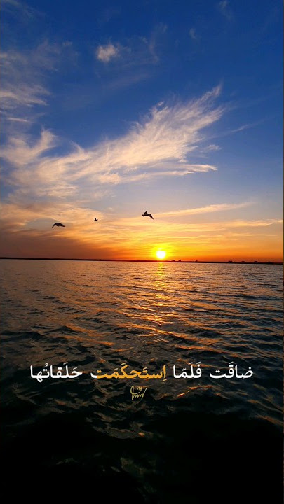 وَلَرُبَّ نازِلَةٍ يَضيقُ لَها الفَتى ذَرعاً...