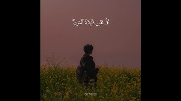 یَـٰعِبَادِیَ ٱلَّذِینَ ءَامَنُوۤا۟🌱| تلاوة هادئة 😌♥️ بصوت #عبدالرحمن_مسعد ✨💛 ارح سمعك و قلبك 💙🎧