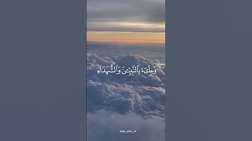 واشرقت الأرض بنور ربها #عبدالباسط_عبدالصمد #راحة_نفسية #المصحف #سورة_الزمر