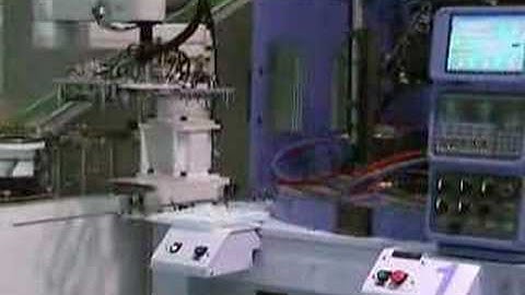 Vertical Insert Molding Automation