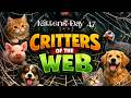 Kittens Day 47 LF #Auctions #Kittens #cats #pets #gardening