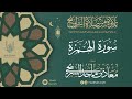 سورة الهمزة من ليالي رمضان 1446هـ معاذ السريحي رمضان ليالي رمضان سورة الهمزة من ليالي رمضان 1446هـ معاذ السريحي رمضان ليالي رمضان
