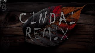 REMIX CINDAI - Siti Nurhaliza - DJ REMIX 2024