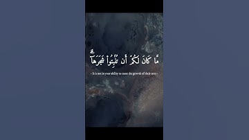 أمن خلق السماوات و الارض - سورة النمل - اسلام صبحي #اسلام_صبحي #سورة_النمل #quran #القران_الكريم