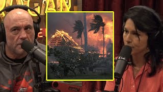 The Dark Truth About The Maui Fires Aftermath | Joe Rogan \& Tulsi Gabbard