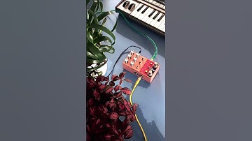 Creating an #ambient tapeloop with Microkorg and the Mood by @ChaseBlissAudio