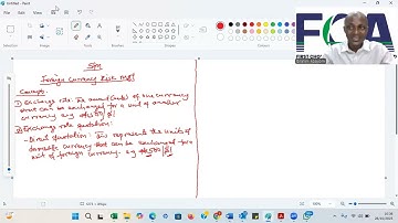Foreign Currency Risk Management V1