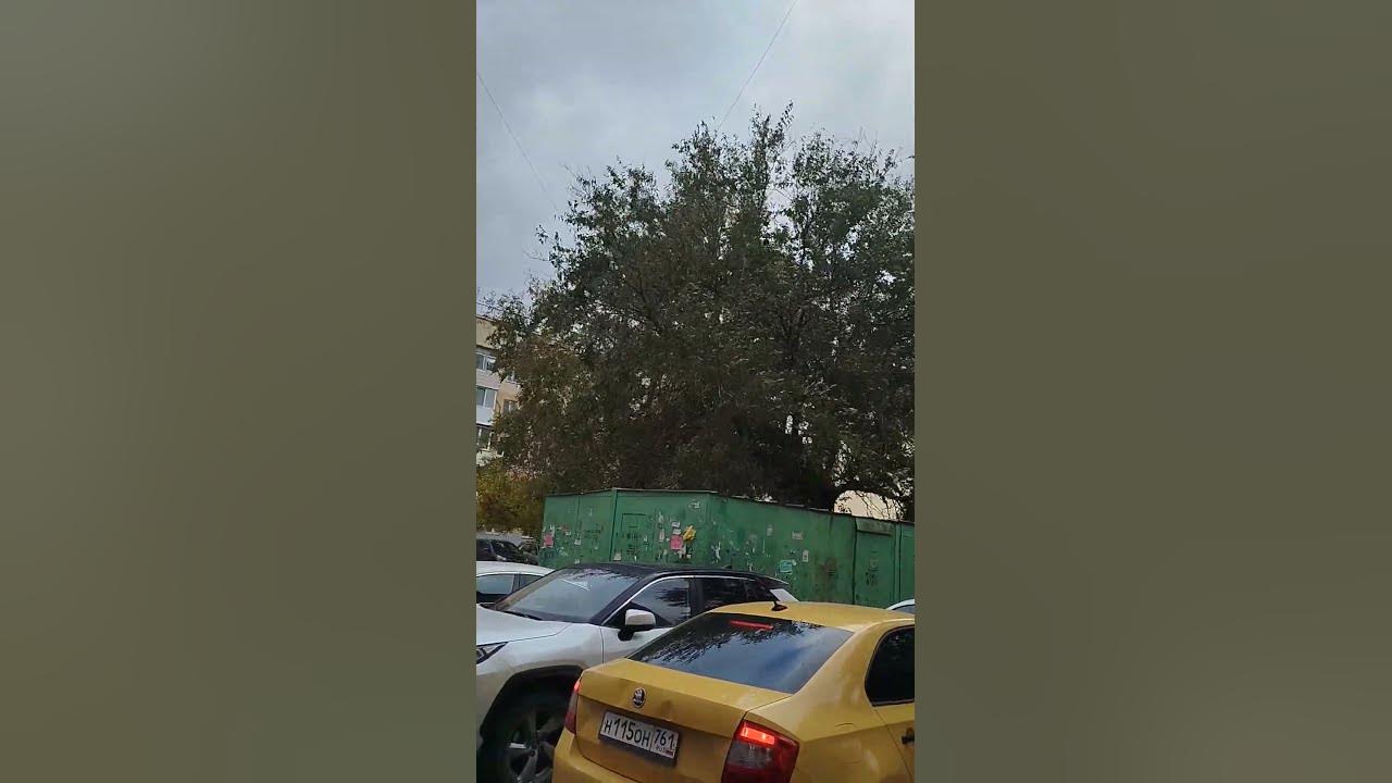 Растов на Дану 😯😯 - YouTube