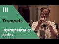 Trumpet & Piccolo Trumpet - David Newman Instrumentation Series