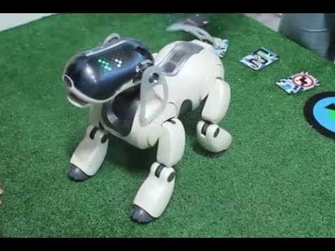 Выставка РОБОТОВ Робополис (1 часть) Видео для детей