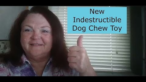 REVIEW: New Indestructible Dog Chew Toy