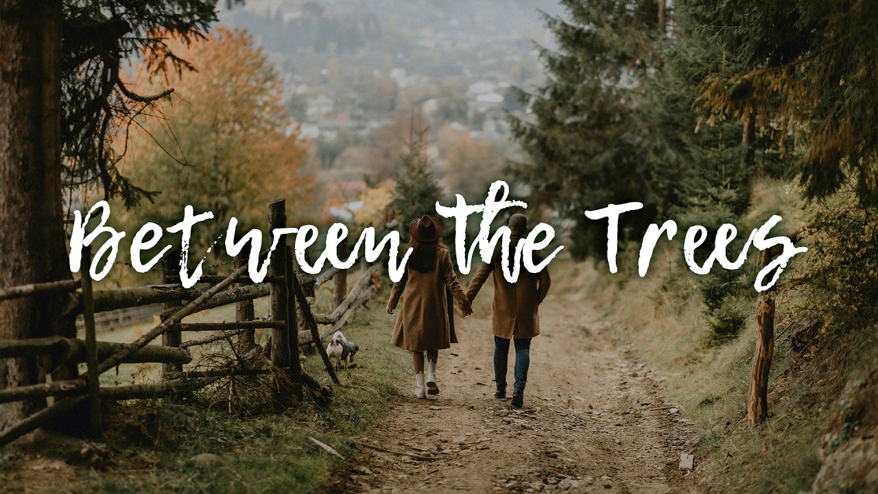 Between The Trees | Warm Acoustic Indie Folk Vibes