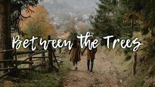 Download Lagu Between The Trees | Warm Acoustic Indie Folk Vibes MP3