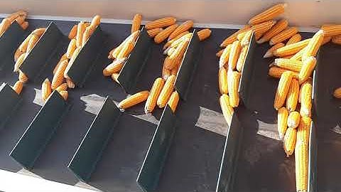 Softview Technologies Pvt. Ltd. Turnkey Project Commissioned work