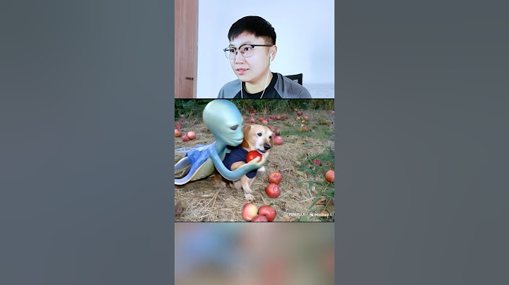 Apple Dog Bị Làm Phiền P2 | Sheep #shorts