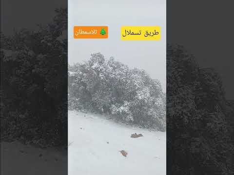 جولة اليوم 20 01 2026 إلى قبائل غمارة مع أصدقاء أجانب