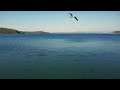 Russky Island Sea of Japan | Русский Остров, берег Японского моря DJI mini 2
