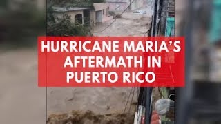 Puerto Rican Cop Reveals The Truth About The Ongoing Humanitarian Crisis From Hurricane Maria