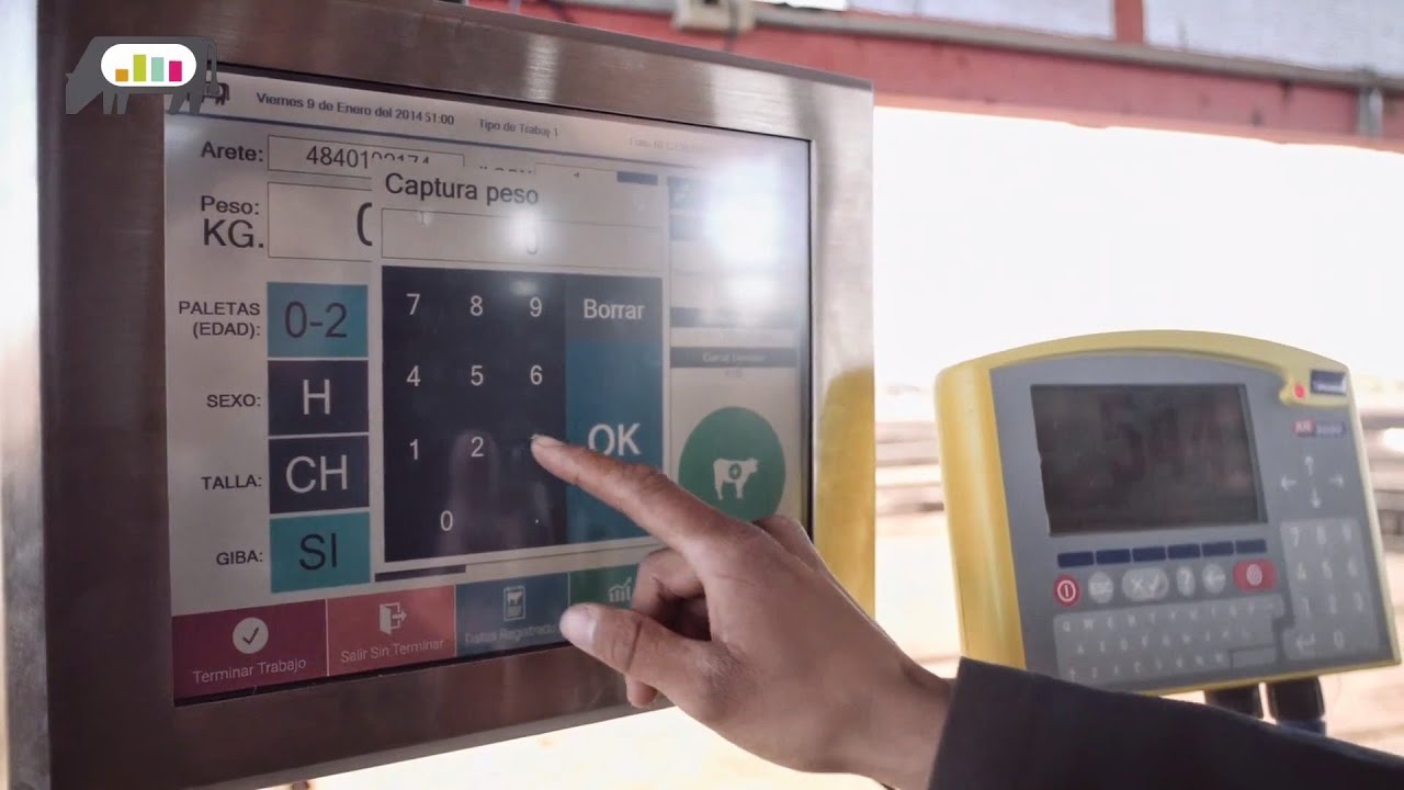 What is Livestock Analytics?