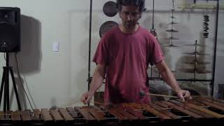 Video-Miniaturansicht von „Last Train Home - Pat Metheny (Marimba Solo)“
