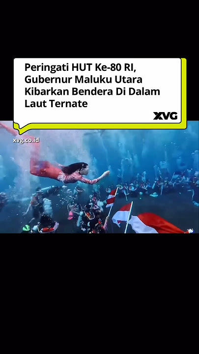 Peringati HUT ke-80 RI, Gubernur Maluku Utara Kibarkan Bendera Di Dalam Laut Ternate