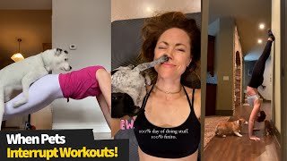 Top 12 Funny Pet Fail Workouts | Pets Interrupting Workout