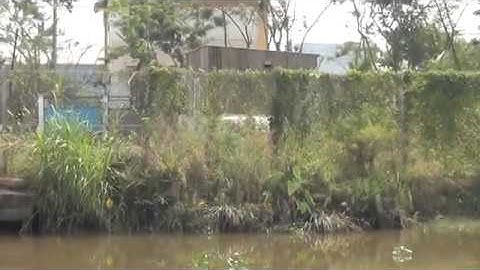 Zoom cận cảnh khu nhà hoang Tuấn Khỉ ẩn nấp