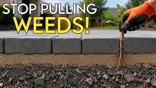 Stop Pulling Weeds from Block Paving! — Do This Instead