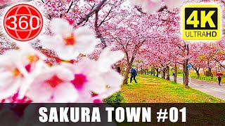 [4K 360°] Sakuranomiya ( PART 01 ): Arriving at the Sakura Town, Cherry Blossom City || JAPAN 360