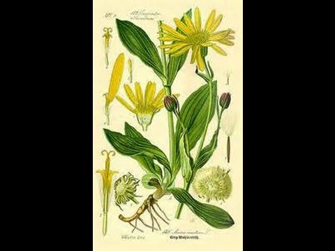 como quitar la celulitis remedios caseros Celulitis Tratamientos Caseros