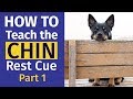 How to Teach Your Dog the Chin Rest Cue - Part 1 の動画、YouTube動画。