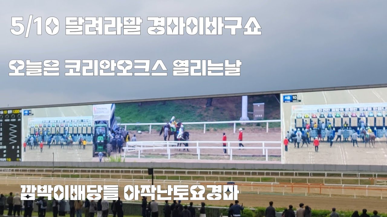 뛰어봐야 아는경마/배당판의 움직임/절대가 없는경마/코리안오크스