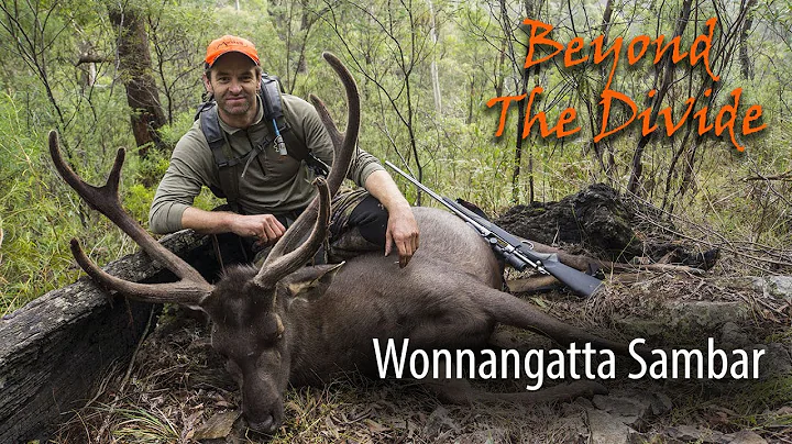 Wonnangatta Sambar-Beyond The Divide | S3 Ep 10