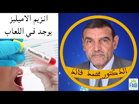 فيديو: هل سيكون الأميليز الموجود في اللعاب نشطًا في المعدة؟