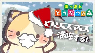 クリスマスがやってきた🎅🌴まぐろdeソルト島🌊【あつまれ！どうぶつの森/むぅたま VTuber】